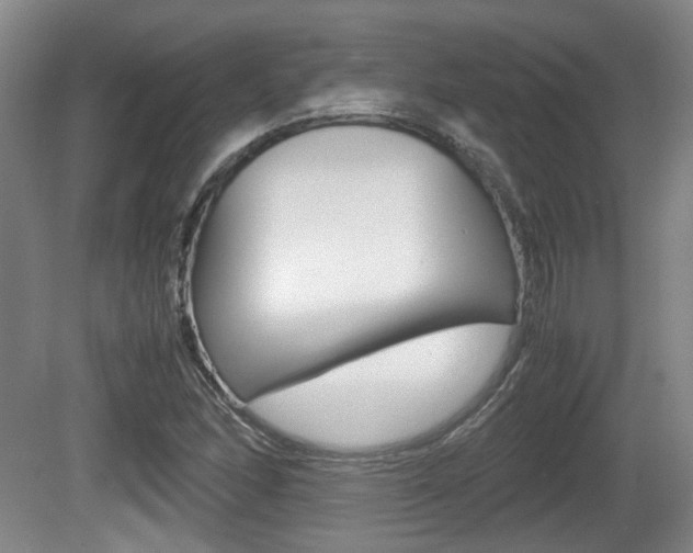 X0000080661166200612150728