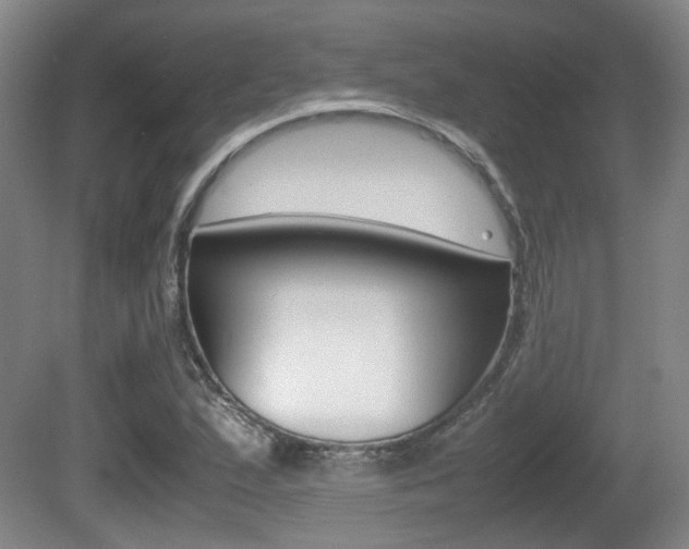 X0000080661167200612150728