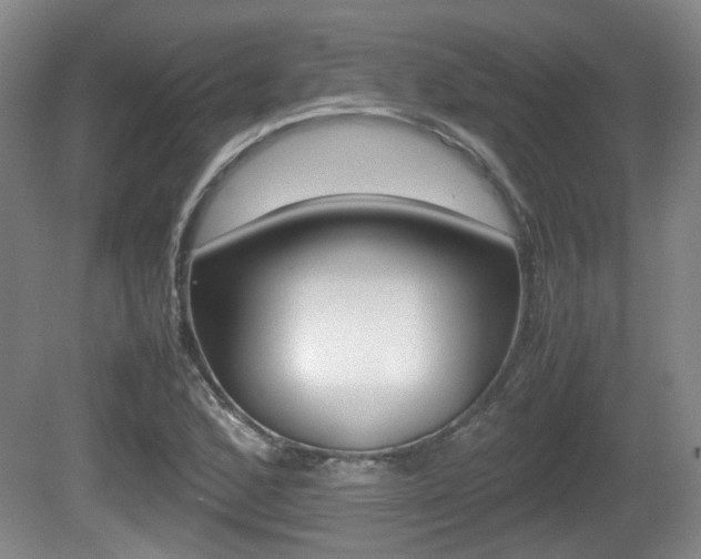 X0000080661168200612150727