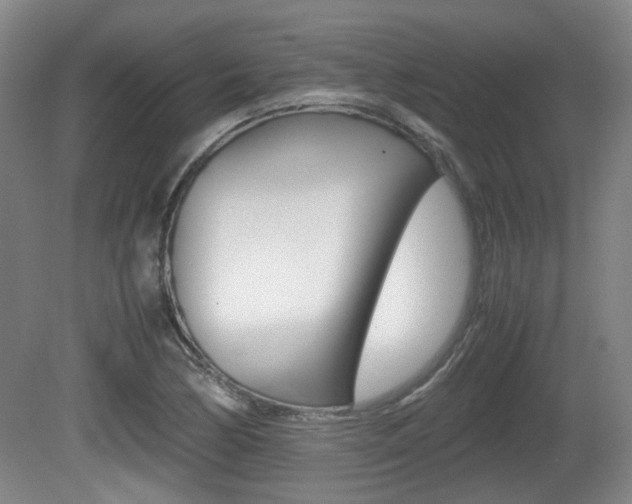 X0000080661170200612150727