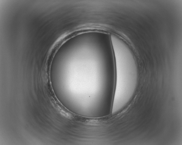 X0000080661172200612150727