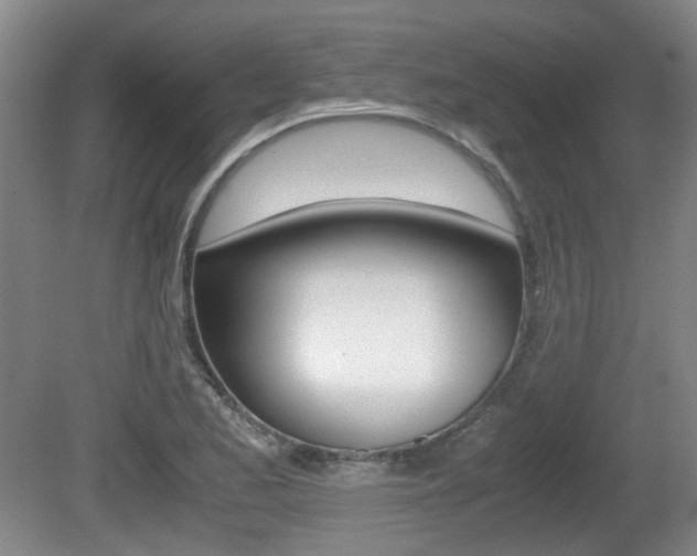 X0000080661173200612150727