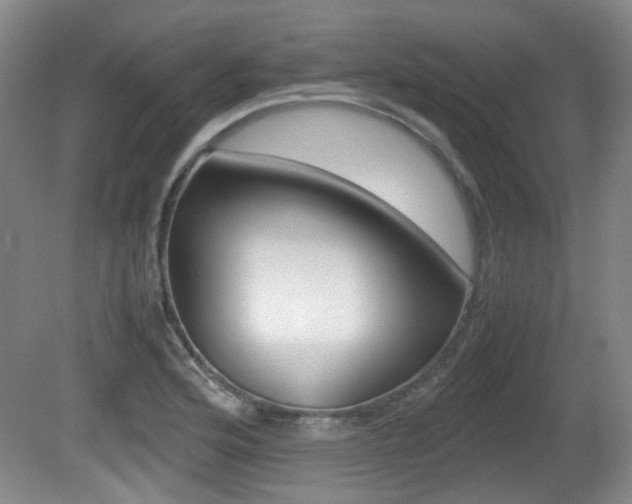 X0000080661176200612150727
