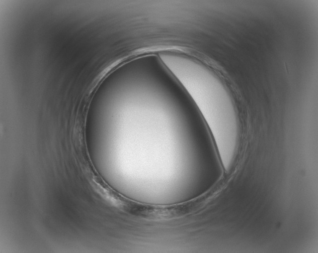 X0000080661177200612150727
