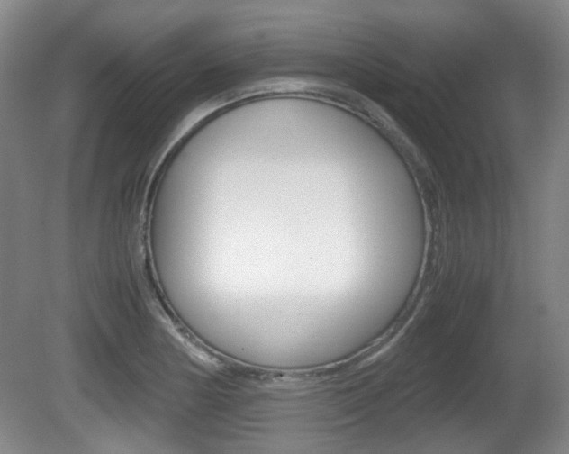 X0000080661178200612150727