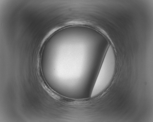 X0000080661179200612150727