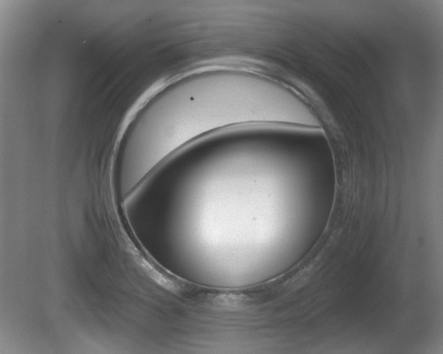 X0000080661180200612150727