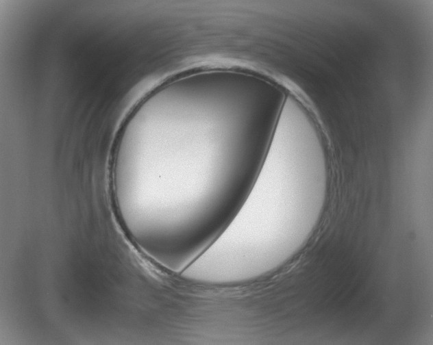 X0000080661183200612150727