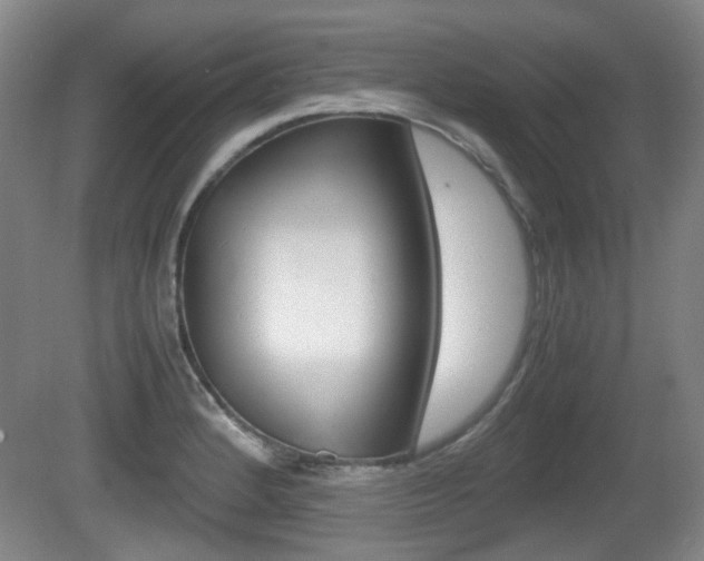 X0000080661184200612150727