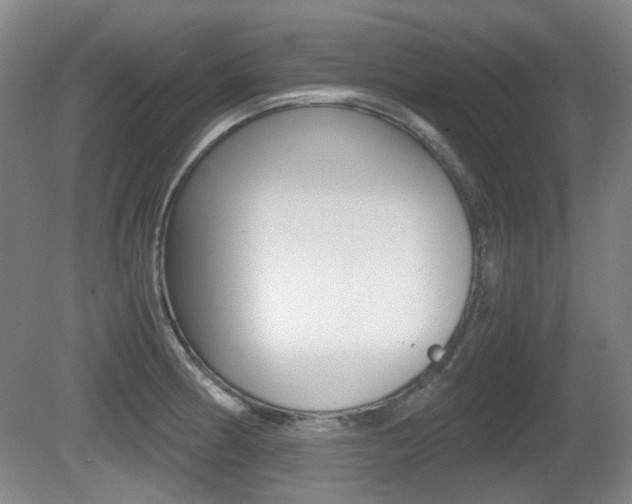 X0000080661186200612150727