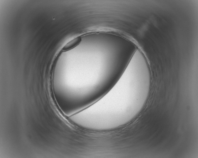 X0000080661187200612150727