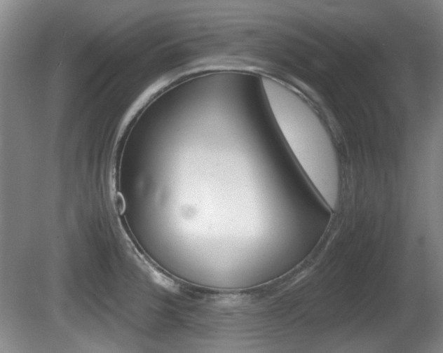 X0000080661188200612150727