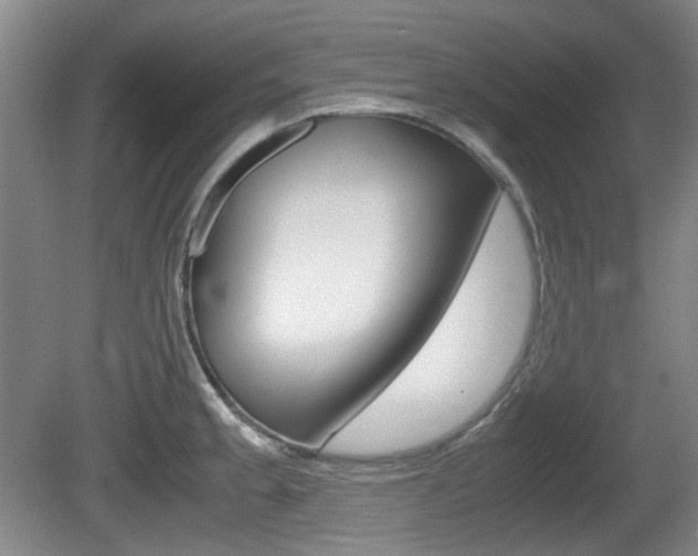 X0000080661189200612150727