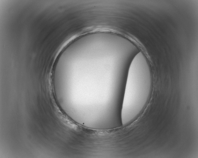 X0000080661190200612150727