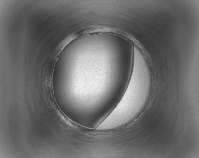 X0000080661193200612150727