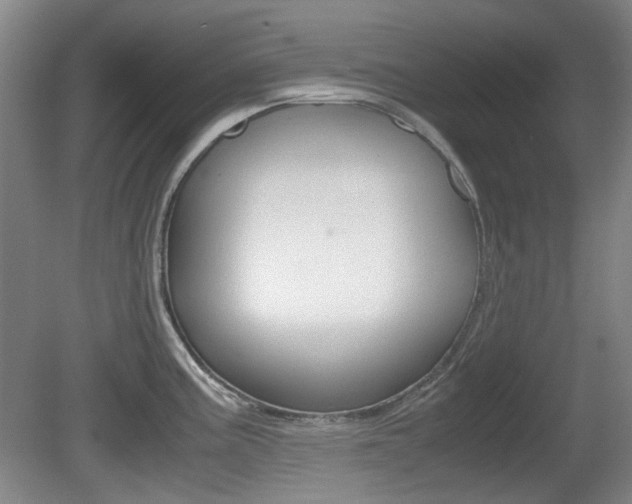 X0000080661195200612150727