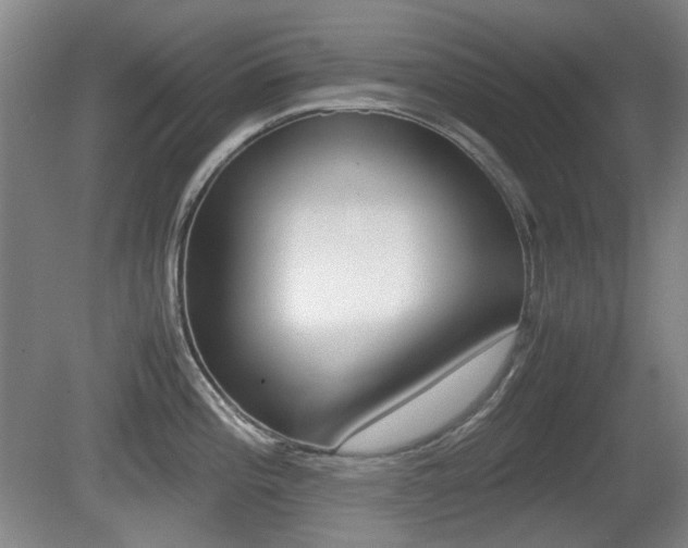X0000080661196200612150727