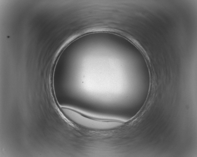 X0000080661197200612150727