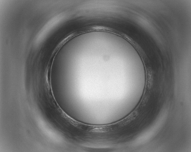 X0000080661198200612150727