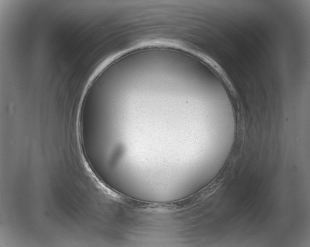 X0000080661199200612150727