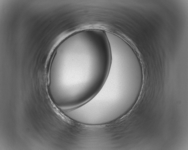 X0000080661200200612150727