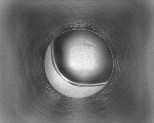 X0000080661202200612150726
