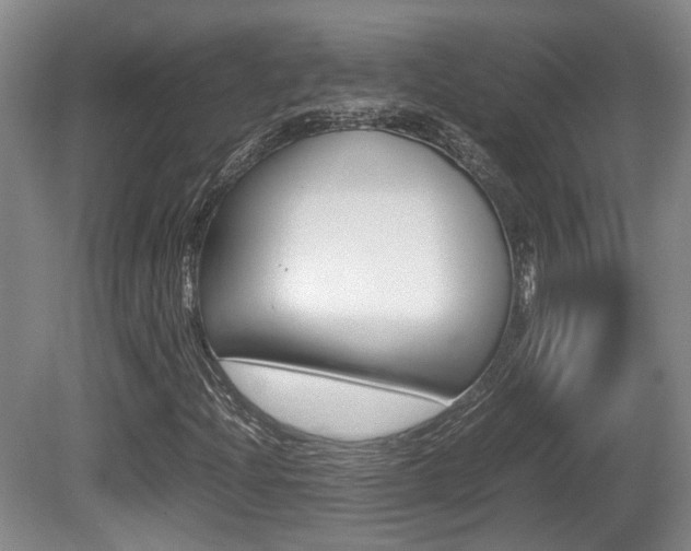 X0000080661204200612150726