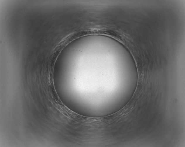 X0000080661205200612150726