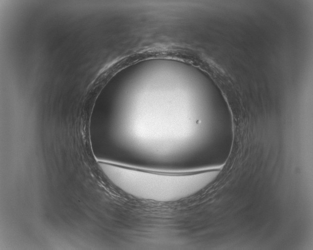 X0000080661206200612150726