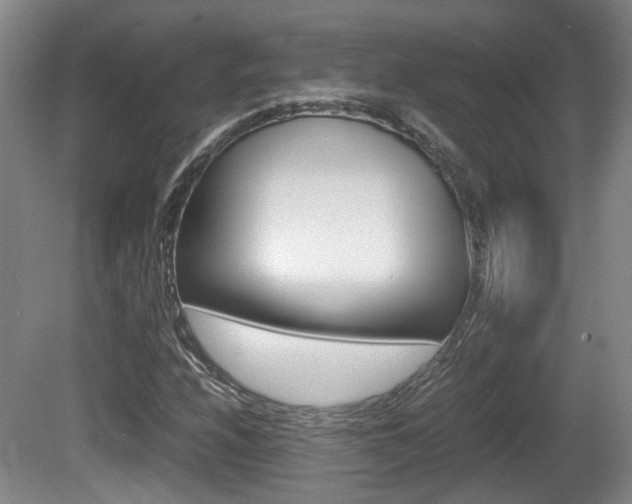 X0000080661208200612150726