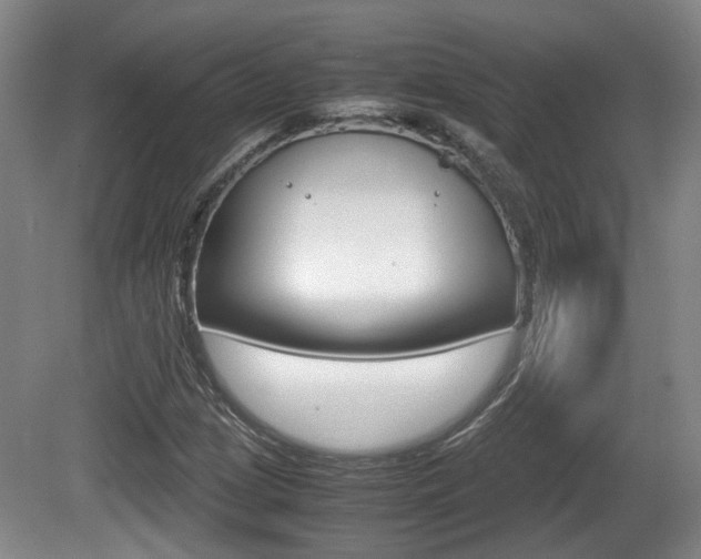 X0000080661209200612150726