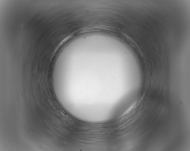 X0000080661210200612150726
