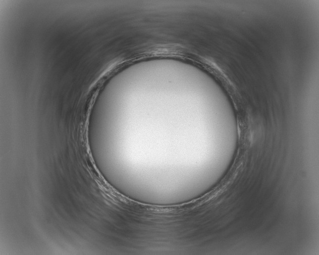 X0000080661211200612150726