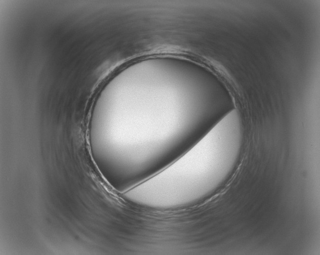 X0000080661212200612150726