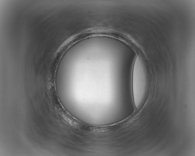 X0000080661213200612150726