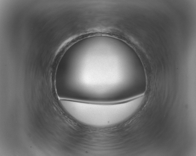 X0000080661214200612150726