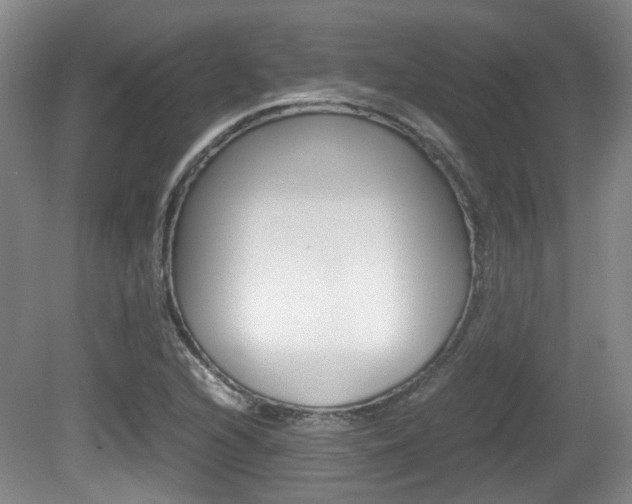 X0000080661216200612150726