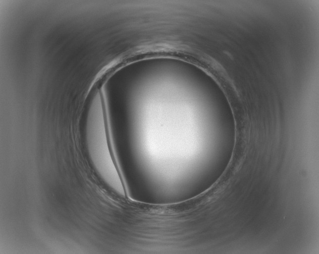 X0000080661218200612150726