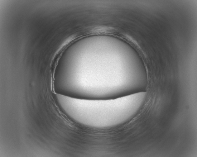 X0000080661219200612150726
