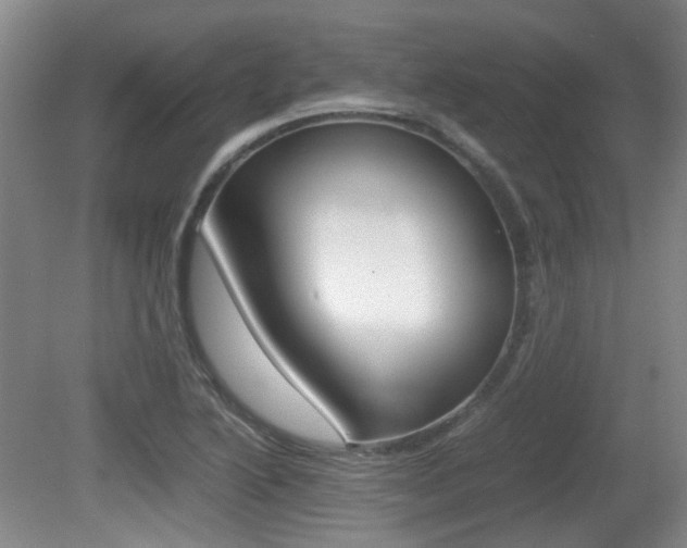 X0000080661222200612150727