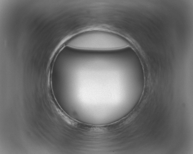 X0000080661224200612150727