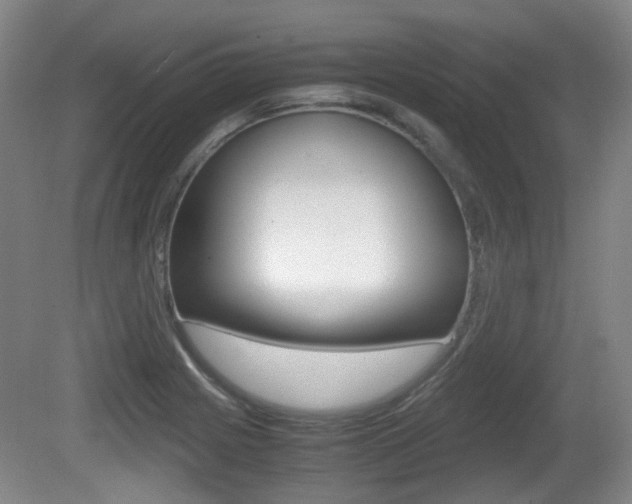 X0000080661225200612150727