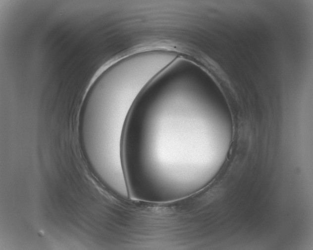 X0000080661226200612150727