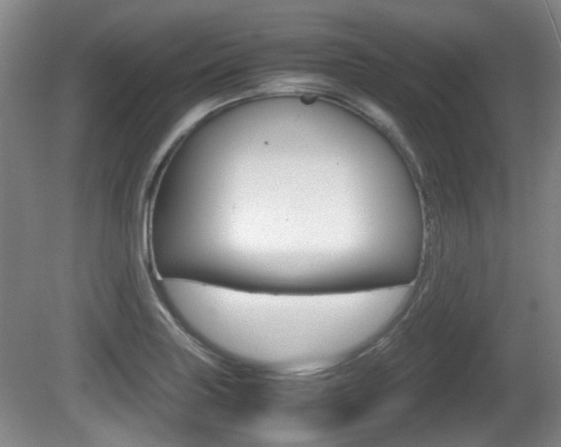 X0000080661227200612150727