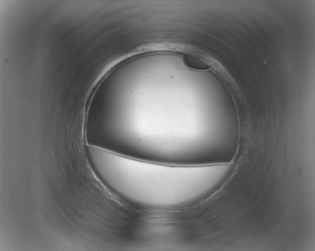 X0000080661228200612150727
