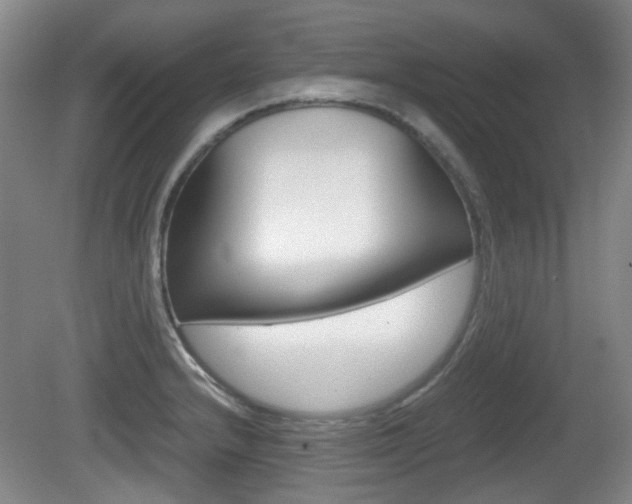 X0000080661232200612150727