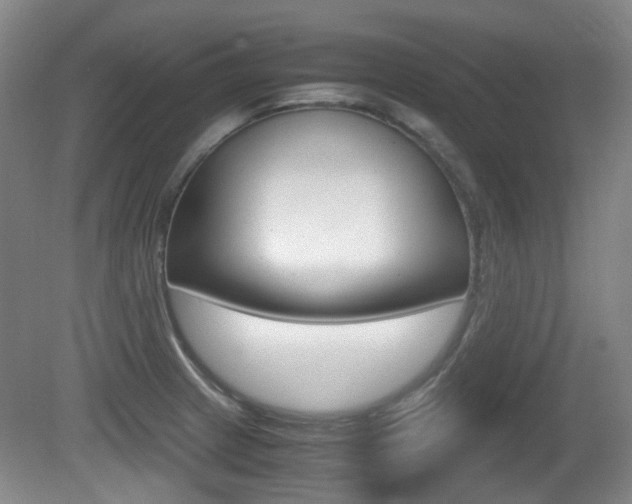X0000080661233200612150727