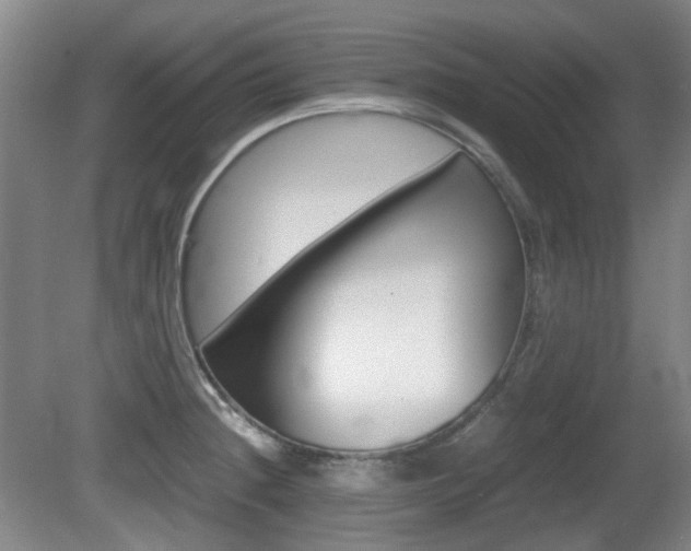 X0000080661236200612150727