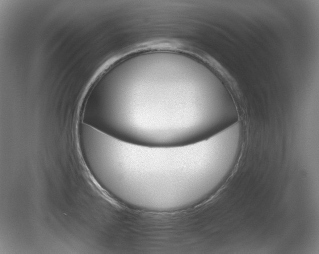 X0000080661240200612150727