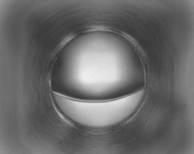 X0000080661241200612150727